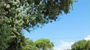 Tour Saint-Martin : phase décisive de restauration à Canet