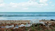Traité plastique : une esquisse jugée trop timide