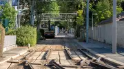 Tramway à Montpellier : lignes 1 et 5 perturbées jusqu'au 30 août