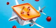 Tupperware : le doudou alimentaire des étudiants