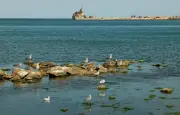 Turquie propose un moratoire en mer Noire face aux attaques