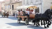 Uchaud : le déjeuner au pré, point d'orgue de la fête votive