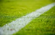 Un bébé interrompt un match de MLS en envahissant la pelouse