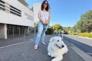 Un chien d'assistance judiciaire apaise les audiences à Antibes