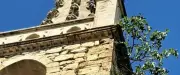 Un figuier pousse sur le clocher de l'église de Bernis