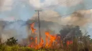 Un pigeon déclenche un incendie de 2,5 ha en Dordogne