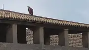 Un vautour chauve aperçu sur le toit de l'église Saint-Paul à Frontignan
