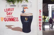 Une bouteille de Guinness de 1864 découverte dans une épave
