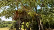 Une cabane perchée dans la garrigue gardoise pour déconnecter