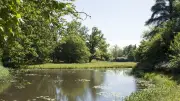 Une grenade au phosphore de 1940 s'enflamme dans un étang asséché