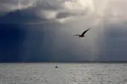 Var : fin de la canicule jeudi, orages et pluie-inondation en vigilance jaune
