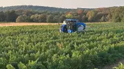 Vendanges 2026 : la famille Amalric ouvre la saison à Foissac