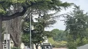 Vendanges 2026 : prudence sur les routes du Gard, les tracteurs arrivent