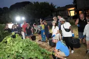 Vendanges à Gassin : les novices aux côtés des vignerons