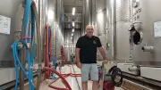Vendanges précoces au Cellier des Chartreux à Pujaut