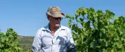 Vigne et bière : Walter Zecchel, 77 ans, ne rate jamais les vendanges