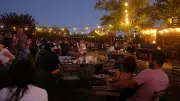 Vins et soirées d'été autour de Montpellier : les domaines à découvrir