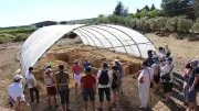 Visite guidée de l'atelier d'amphores au Mas des Tourelles
