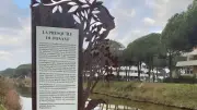 Visite guidée du bois du Ponant : immersion nature à La Grande-Motte