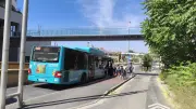 Vol insolite d'un bus de l'Agglo de Béziers dans la nuit