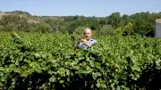 Yves Simons : le vin cévenol réinventé par la musique et l'art