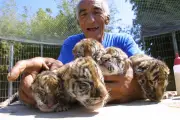 Zoo de Fréjus : 55 ans d'histoire en cinq dates clés avant la fermeture