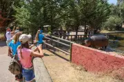 Zoo de Fréjus : les soigneurs poursuivent leur mission malgré la fermeture