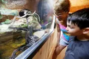 Zoo de Sanary : naissances, vivarium et nouveautés 2026