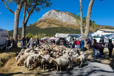 76e Foire agricole de Caille : déménagement à Valderoure