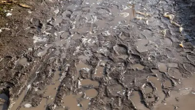 900 m³ de lisier dévalent une pente en Haute-Savoie : deux blessés et une rivière polluée