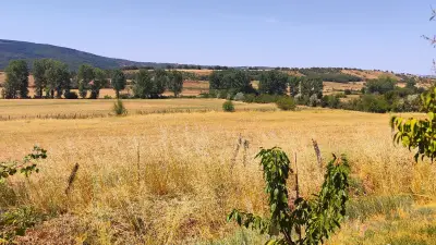 Aide agricole de 1,2 Md€ : les syndicats de l'Aveyron dénoncent un plan insuffisant