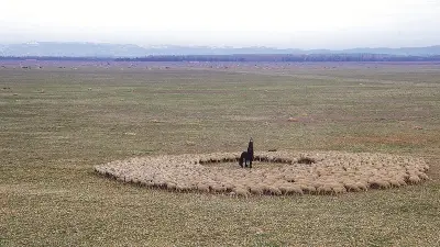 Anima : chorégraphie pastorale en plein air à la Condamine