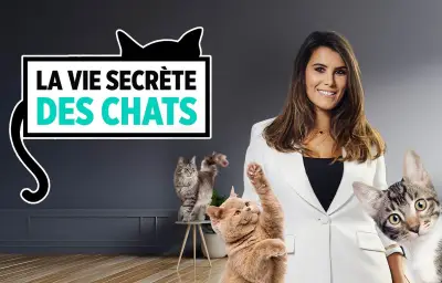 Animaux à la télé : pourquoi ces émissions captivent les Français