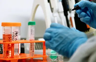 Ariège : 50 ans de veille sanitaire pour les troupeaux