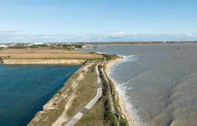 Aytré : des ganivelles pour protéger la dune de la plage de Roux
