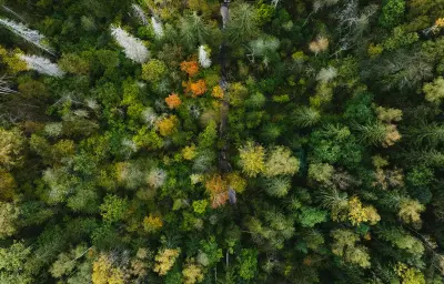 Chasse 2026-2027 : dates d'ouverture et fermeture par département