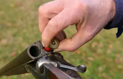 Chasse aux Vieux Salins d'Hyères : une pétition demande une zone sans chasse