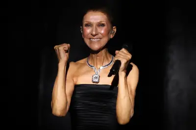 Concerts de Céline Dion : 4 M€ de taxes captés par Bercy, la filière s'insurge
