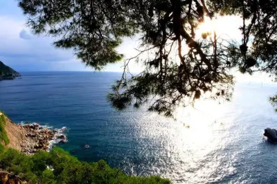 Corps d'une femme découvert par l'ONF à Six-Fours, possible disparue