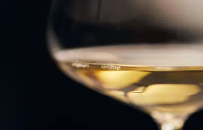 Corton-Charlemagne 2024, meilleur vin blanc du monde