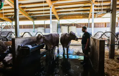 Des agriculteurs des Hautes-Alpes parodient l'Hyrox dans une vidéo virale