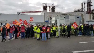 Fibre Excellence : l'État reprend la sécurité de l'usine de Tarascon