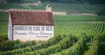 Foires aux vins 2024 : Roederer rachète un domaine en Bourgogne