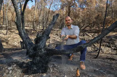 Forêts brûlées du Gros Bessillon : le chantier titanesque de l'après-incendie