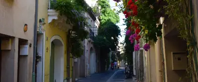 Frontignan étend le permis de végétaliser à toute la ville