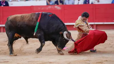 Goyesque d'Arles : un cartel de haut vol ouvre la feria du Riz