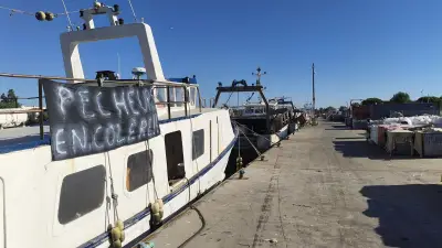 Grève des pêcheurs au Grau-d'Agde : le carburant menace leur survie