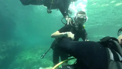 Handisub : le club de plongée du Pontet ouvre les fonds marins aux handicapés