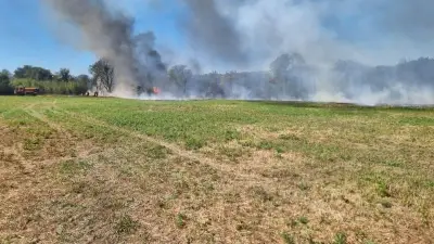 Incendie entre Mireval et Villeneuve-lès-Maguelone : deux hectares brûlés