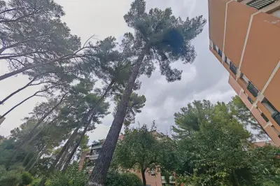 À La Seyne, la pinède des Collines de Tamaris divise copropriétaires